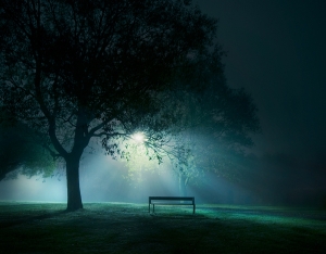 tree-chair-alone-night-park